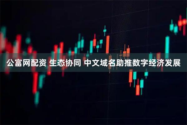 公富网配资 生态协同 中文域名助推数字经济发展