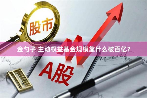 金勺子 主动权益基金规模靠什么破百亿？